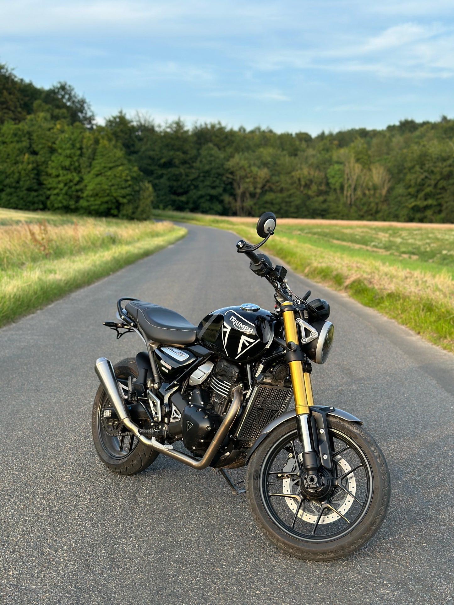 Triumph Speed/Scrambler 400 - Retro Riot Exhaust System