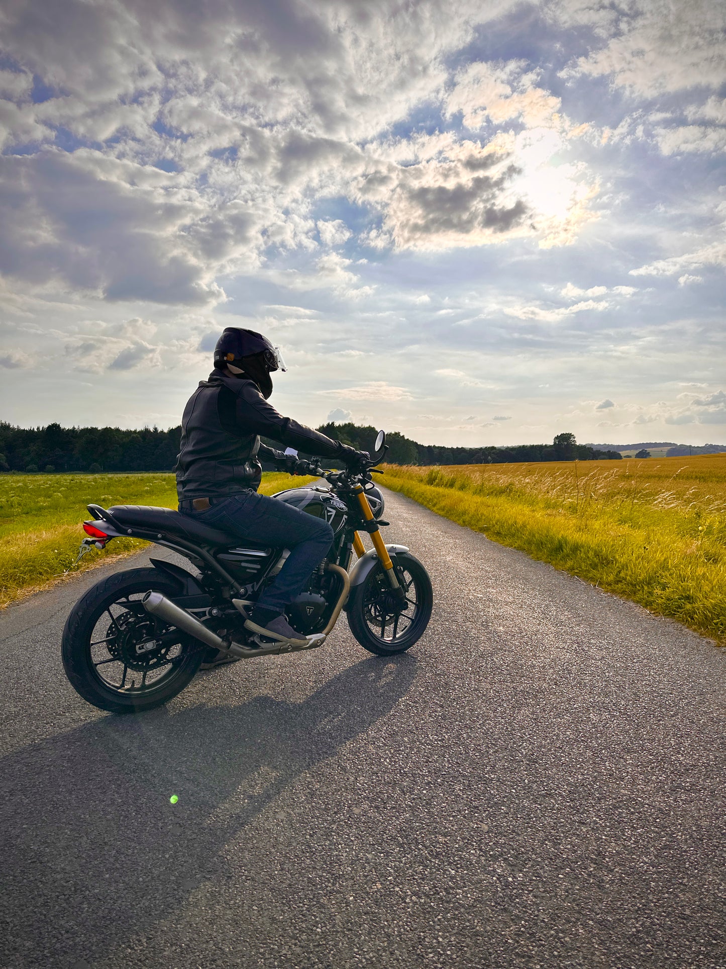 Triumph Speed/Scrambler 400 - Retro Rumble Slip On